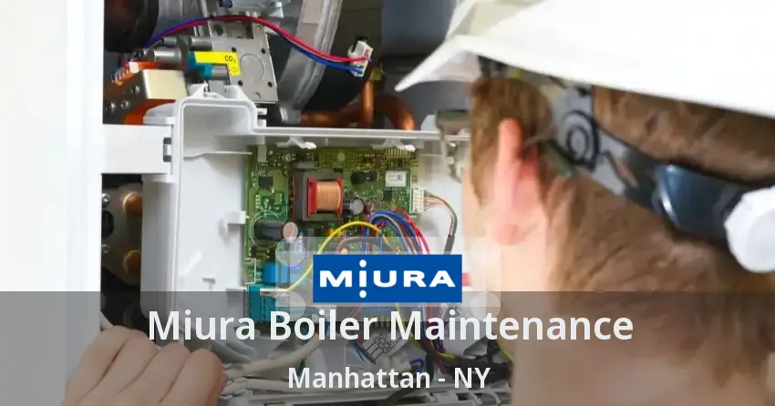 Miura Boiler Maintenance Manhattan - NY